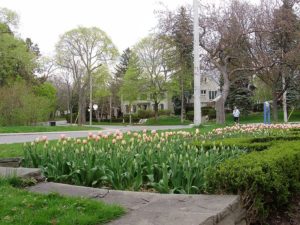 Lawrence Park